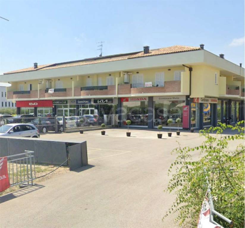 immagine annuncio 1 di 14