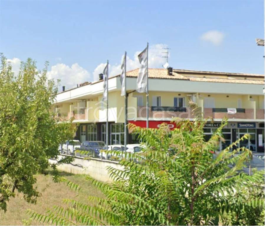 immagine annuncio 8 di 14