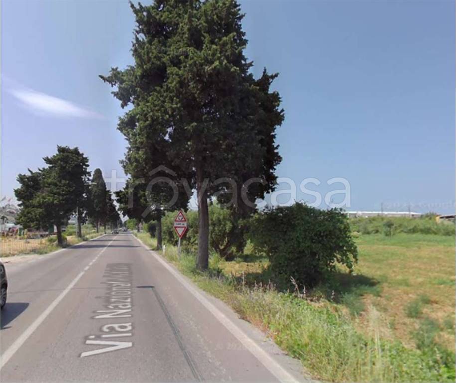 immagine annuncio 10 di 14