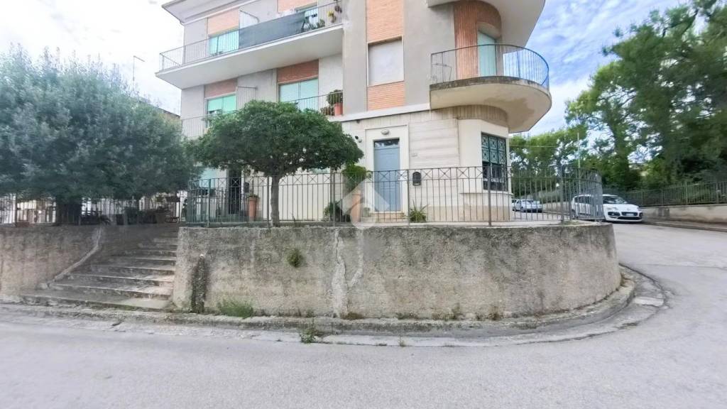 immagine annuncio 11 di 13