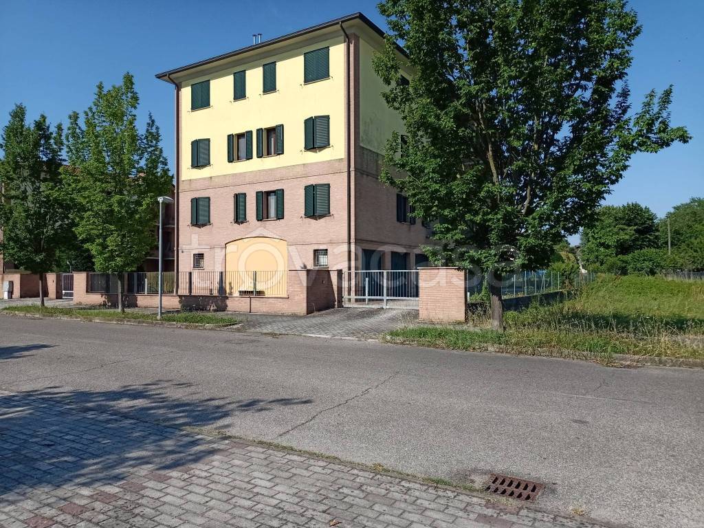 immagine annuncio 2 di 4