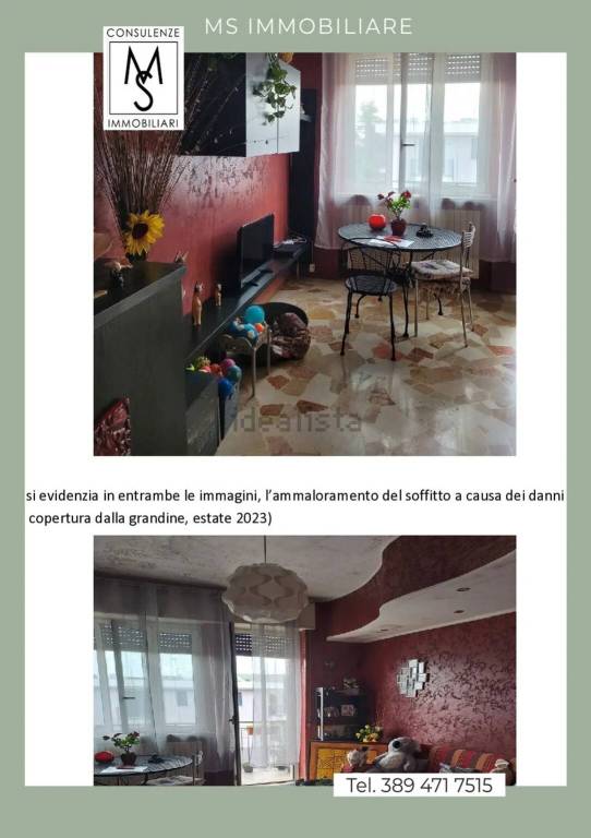 immagine annuncio 1 di 14