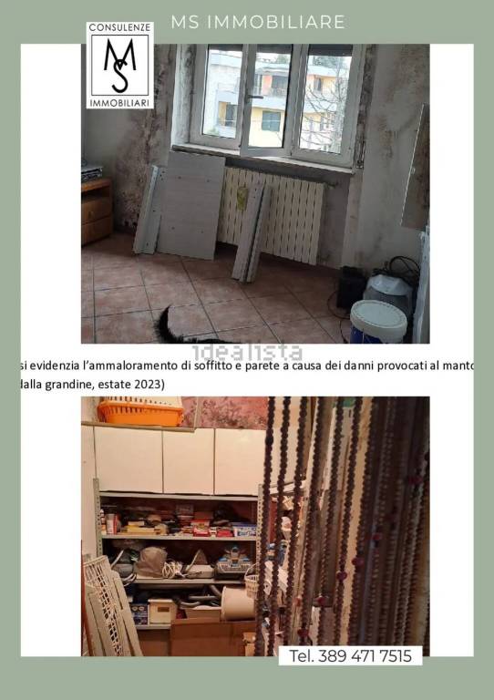 immagine annuncio 3 di 14