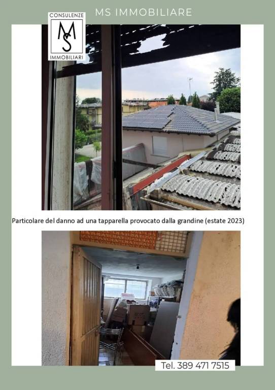 immagine annuncio 4 di 14