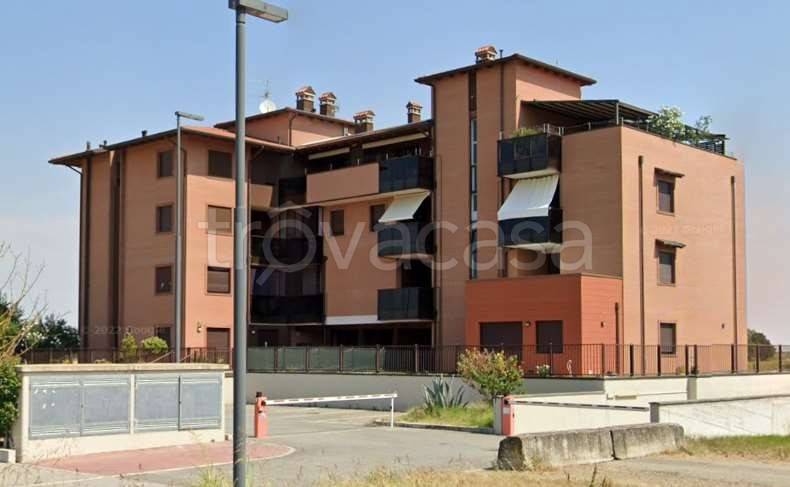 immagine annuncio 6 di 15