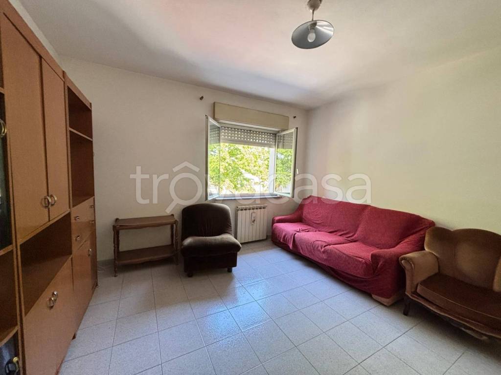 immagine annuncio 4 di 13
