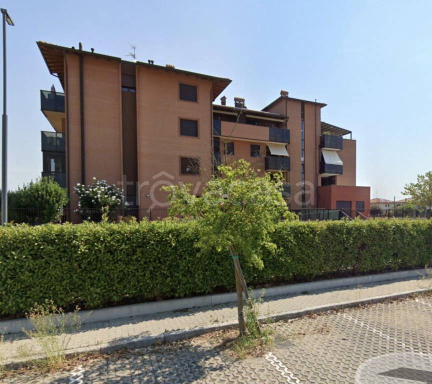 immagine annuncio 3 di 15
