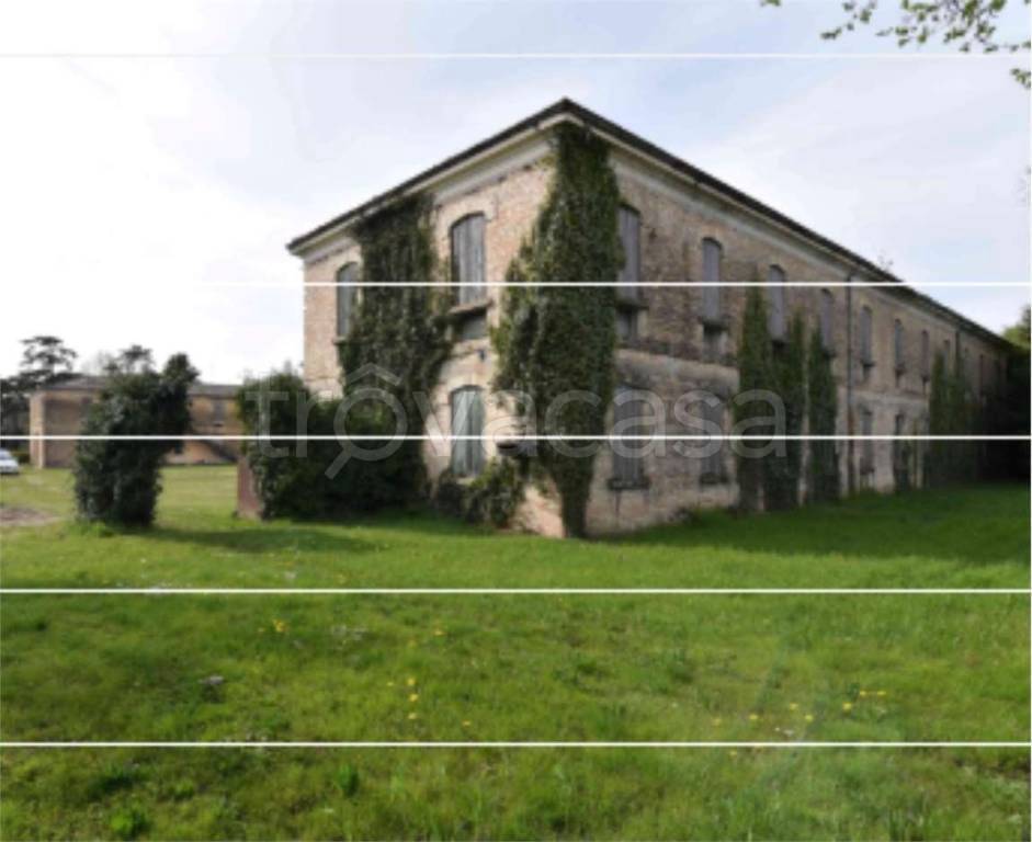 immagine annuncio 10 di 14