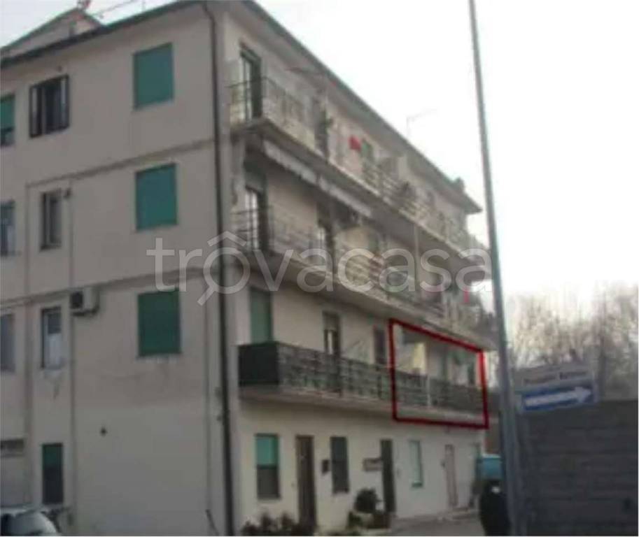 immagine annuncio 1 di 14