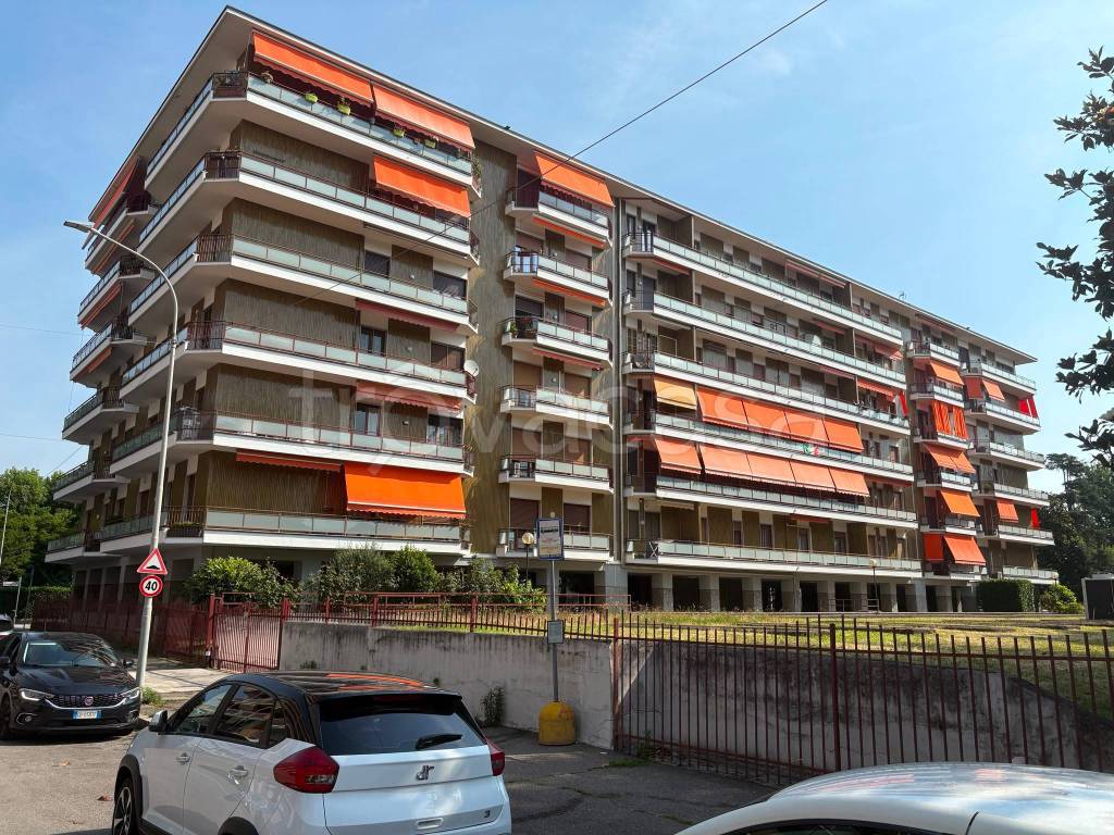 immagine annuncio 3 di 6