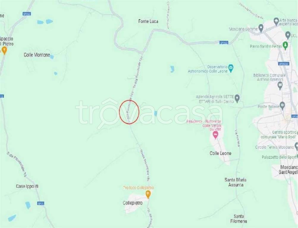 immagine annuncio 12 di 15