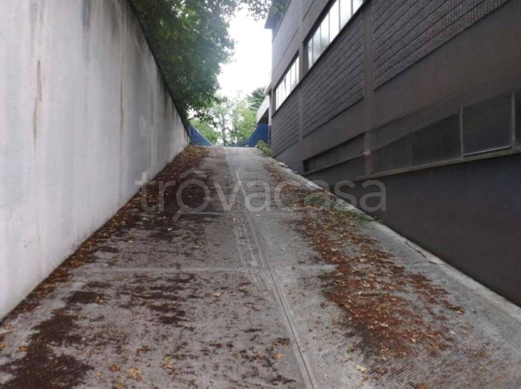 immagine annuncio 3 di 8