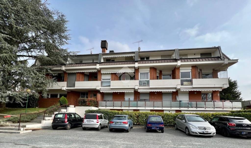 immagine annuncio 2 di 12