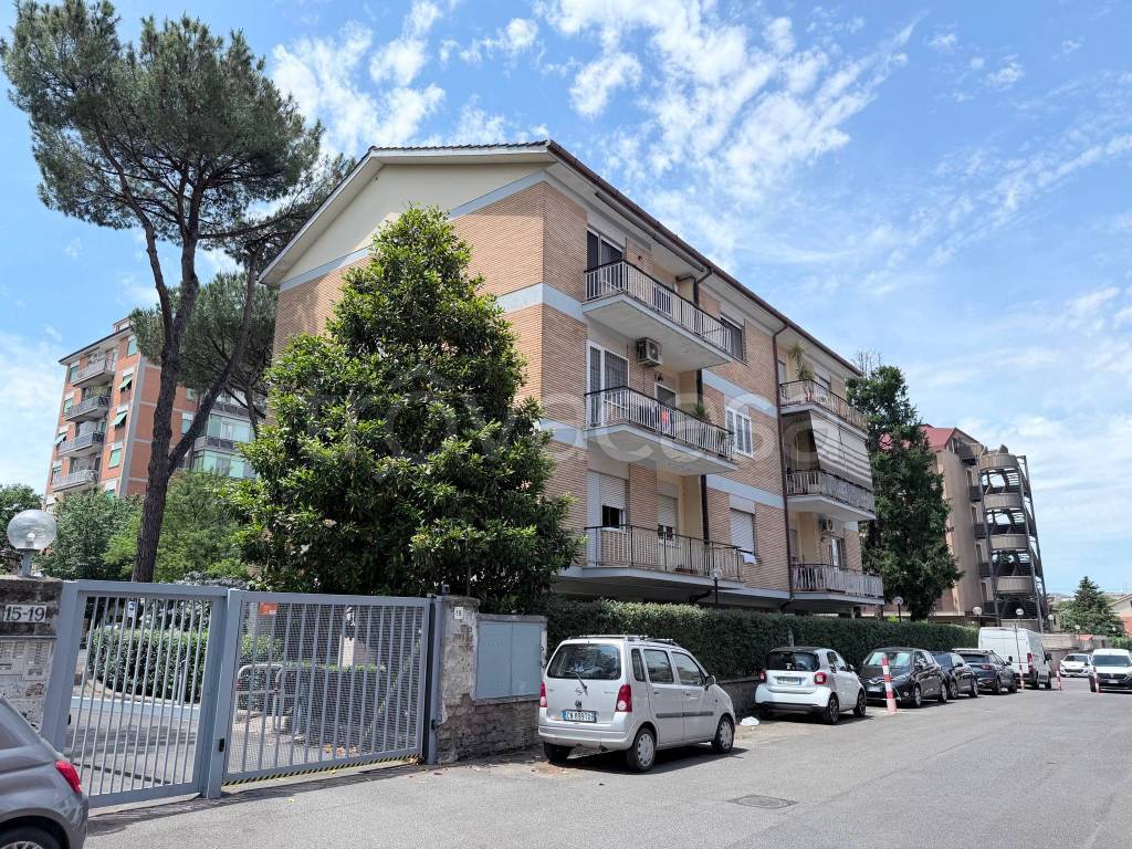 immagine annuncio 4 di 15