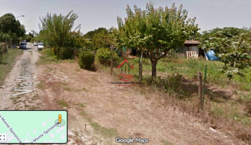 immagine annuncio 5 di 7
