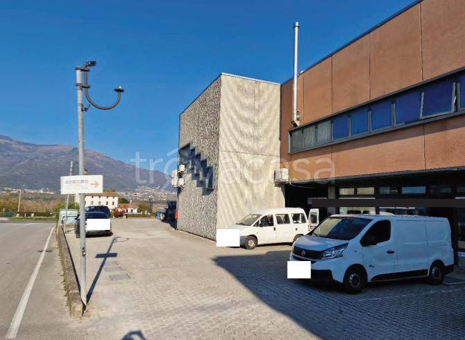 immagine annuncio 4 di 9