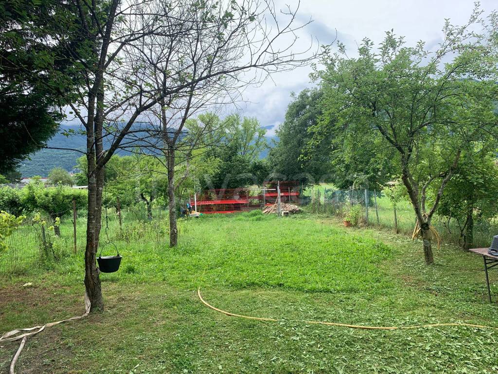 immagine annuncio 4 di 15