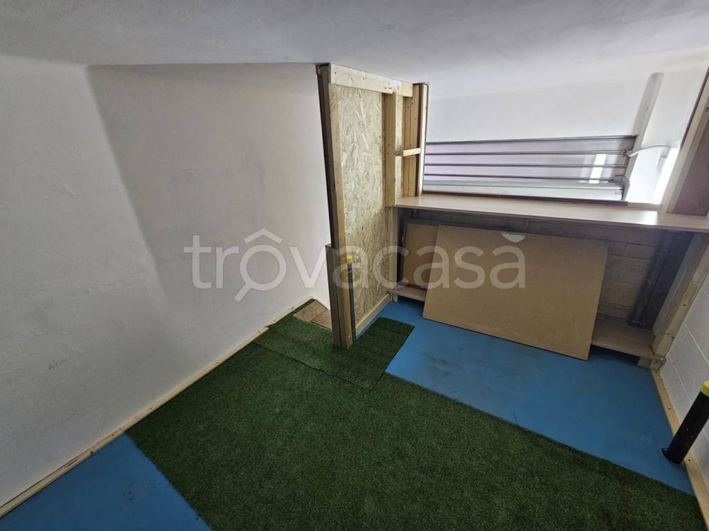 immagine annuncio 9 di 12
