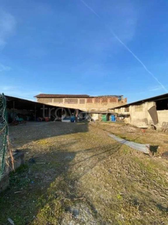 immagine annuncio 5 di 14