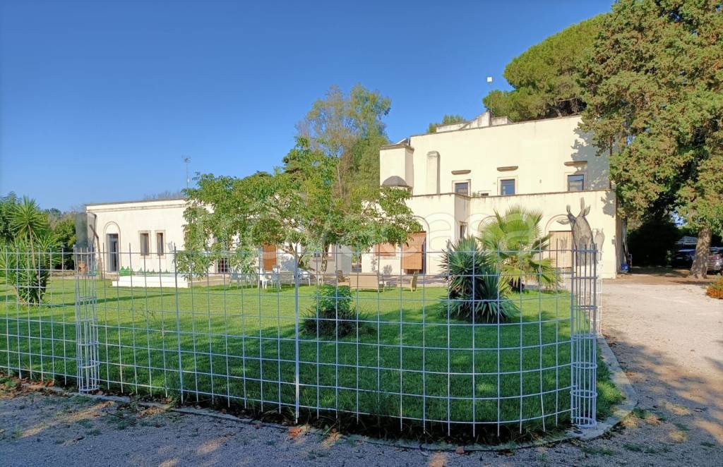 immagine annuncio 4 di 12