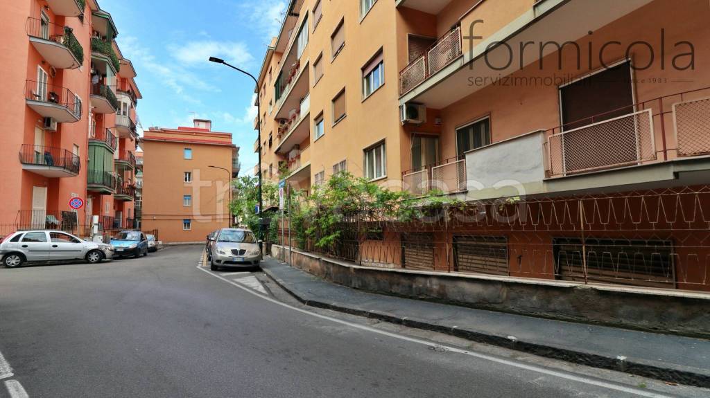 immagine annuncio 4 di 7