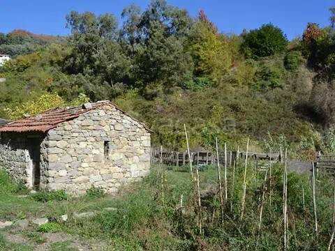 immagine annuncio 2 di 8
