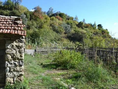 immagine annuncio 6 di 8