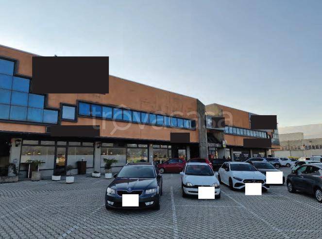 immagine annuncio 2 di 8