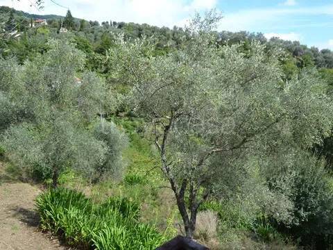 immagine annuncio 4 di 9