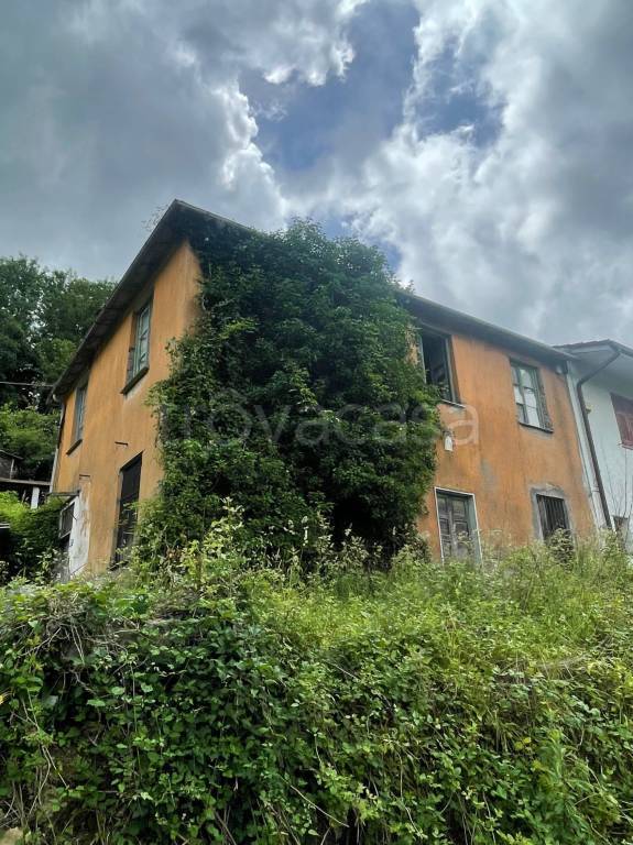 immagine annuncio 7 di 13