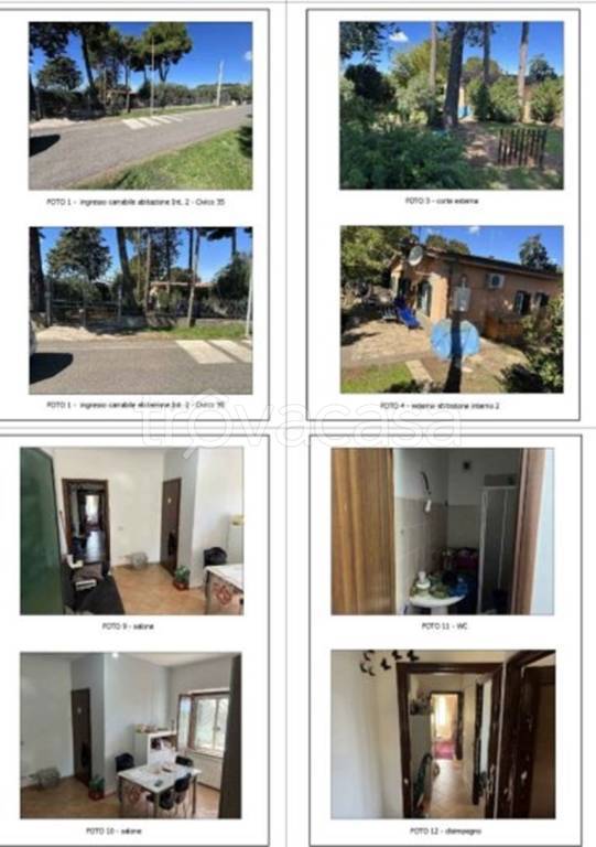 immagine annuncio 10 di 12