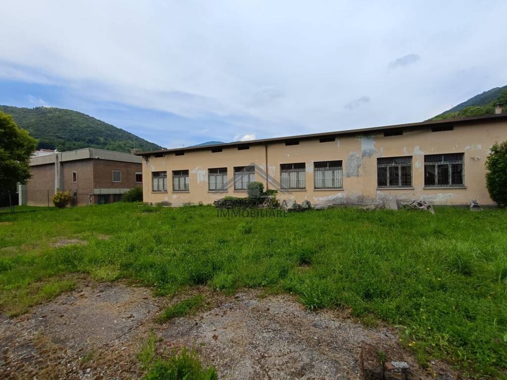 immagine annuncio 3 di 8