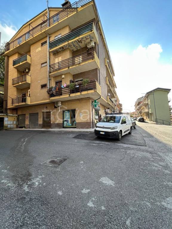 immagine annuncio 3 di 11