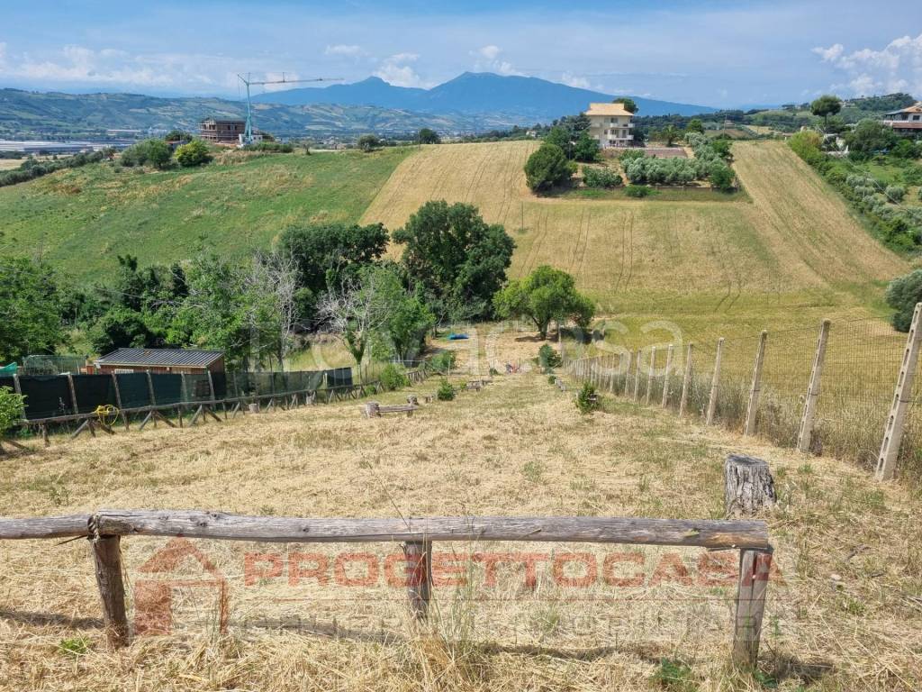 immagine annuncio 1 di 9