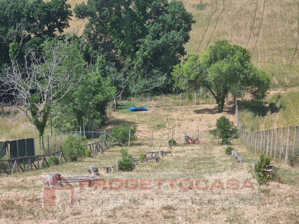 immagine annuncio 3 di 9
