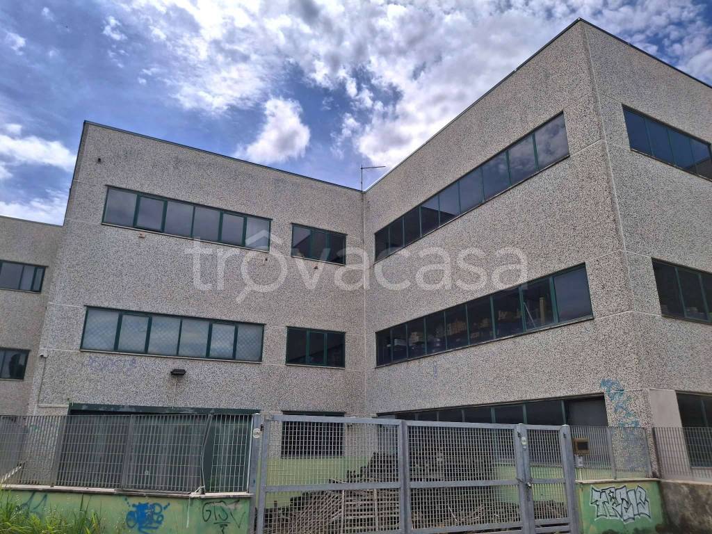 immagine annuncio 6 di 14