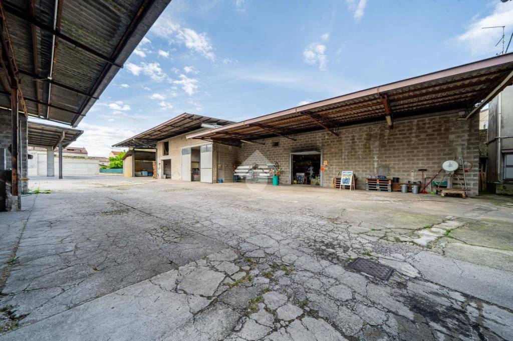 immagine annuncio 5 di 15
