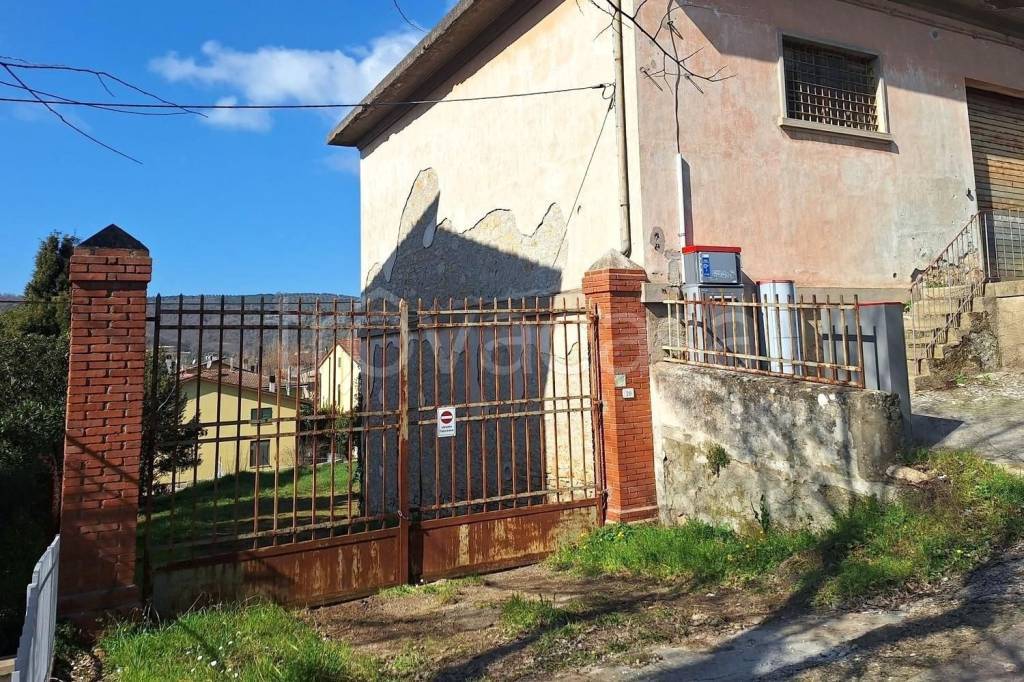 immagine annuncio 2 di 9