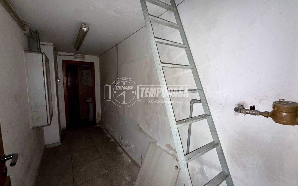 immagine annuncio 3 di 8
