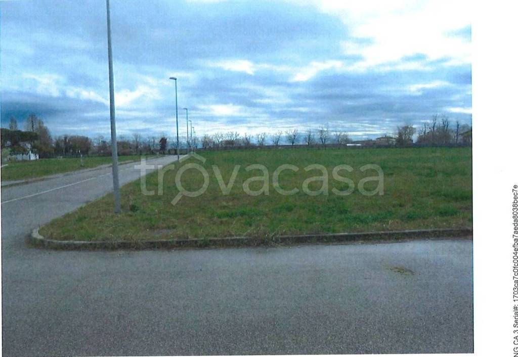immagine annuncio 6 di 11