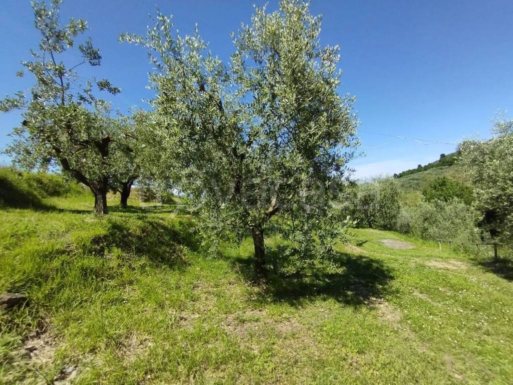 immagine annuncio 5 di 13