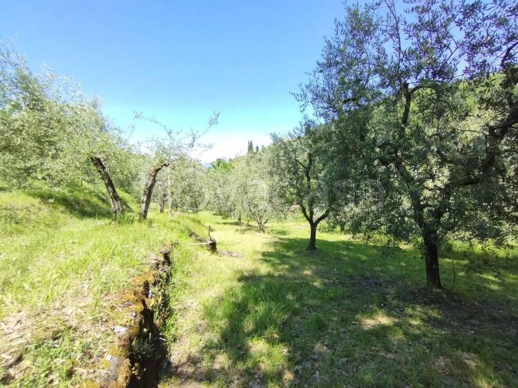 immagine annuncio 9 di 13