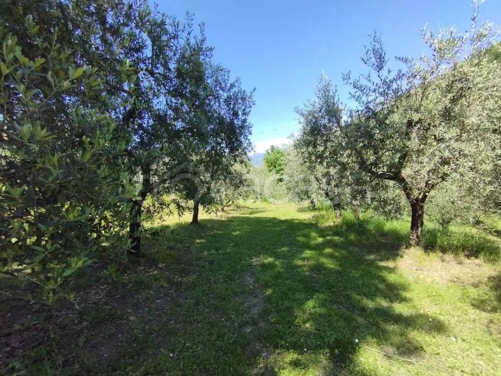 immagine annuncio 11 di 13