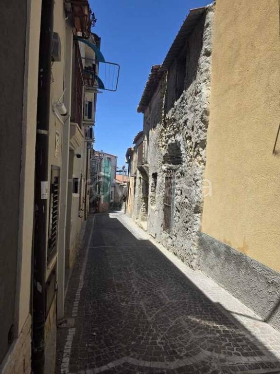 immagine annuncio 6 di 8