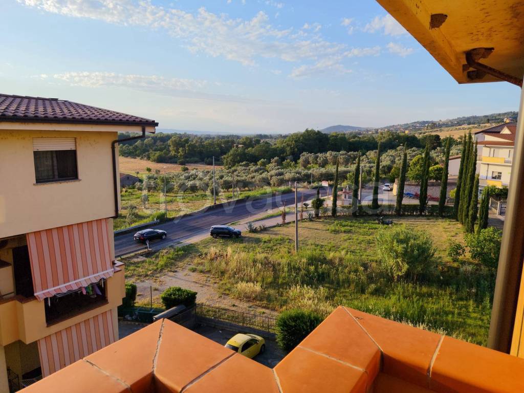 immagine annuncio 13 di 14