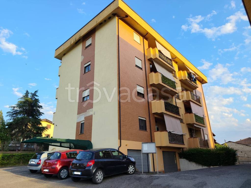 immagine annuncio 2 di 14