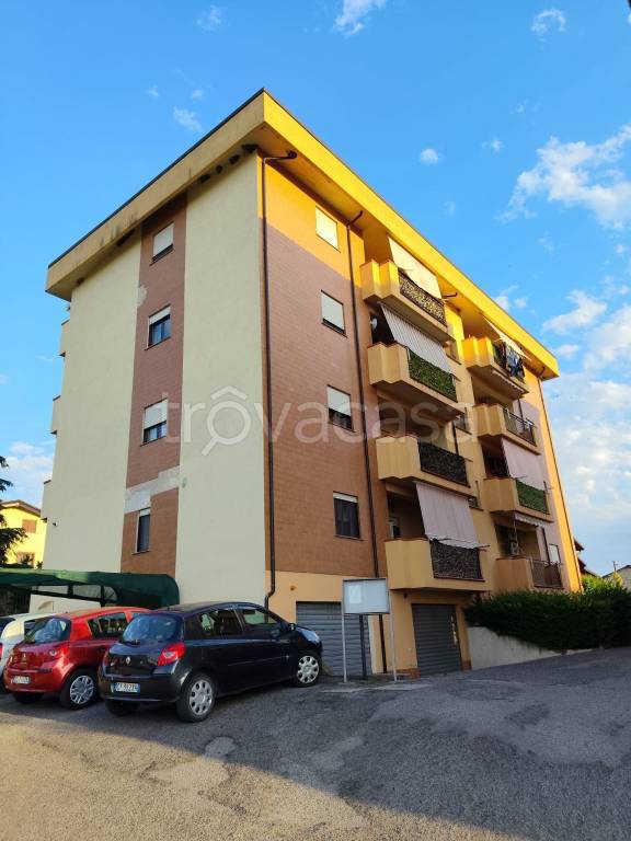 immagine annuncio 1 di 14