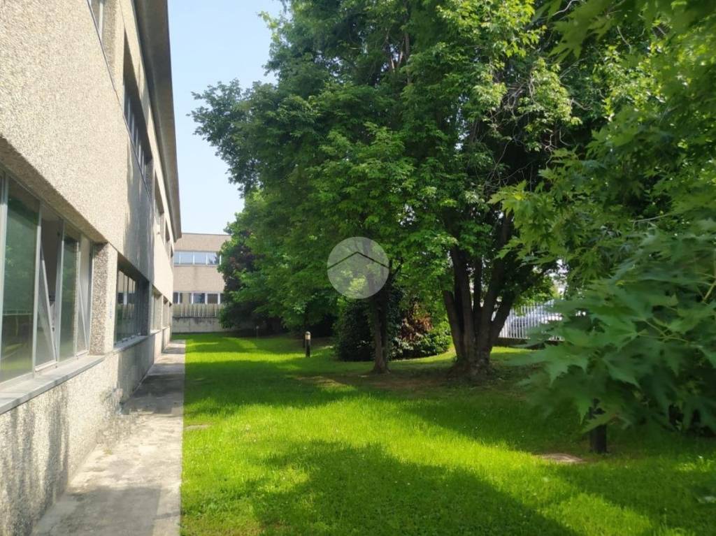 immagine annuncio 10 di 13
