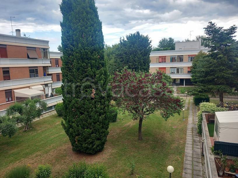 immagine annuncio 12 di 13