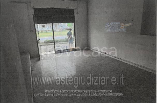 immagine annuncio 6 di 7